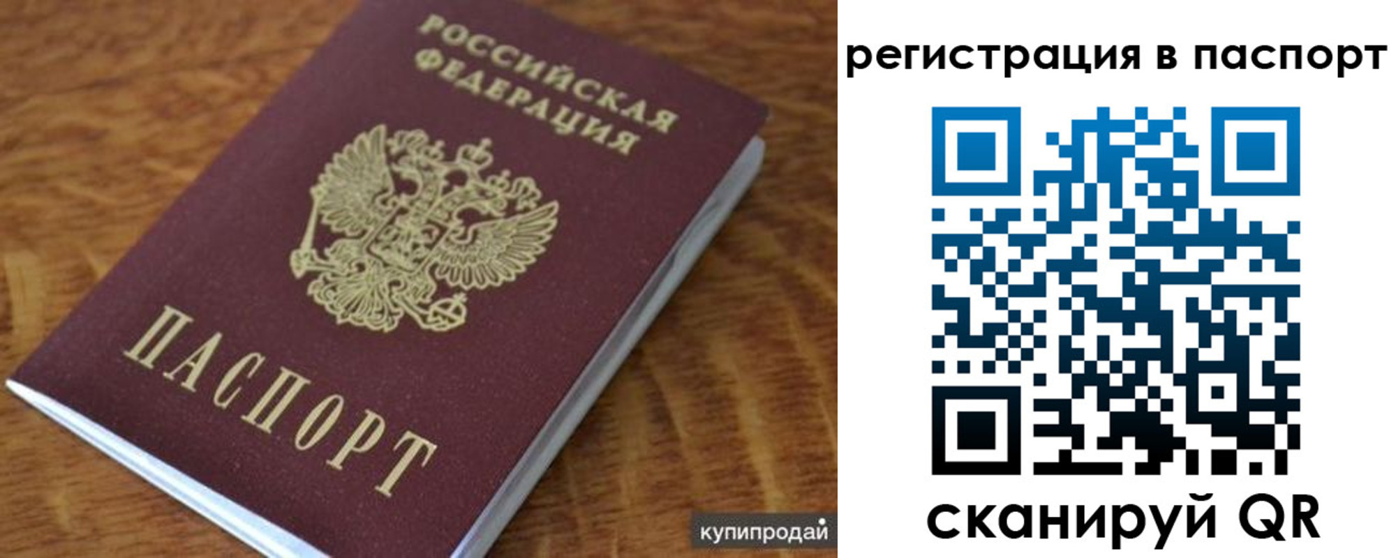 прописка поиск в Оренбурге